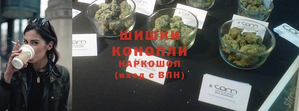 прущие крисы Вязьма