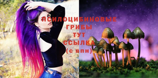 mdpv Вязники