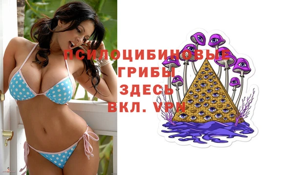 прущие крисы Вязьма