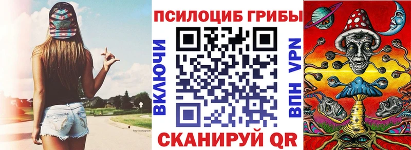 Псилоцибиновые грибы Psilocybe Набережные Челны
